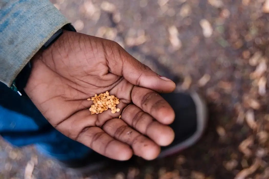 Our Racial Equity Journey